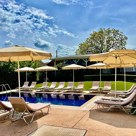 Villa Petra- Medovo, Sunny